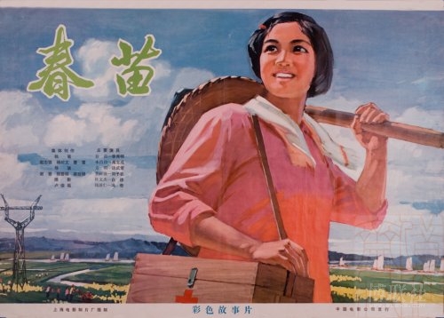 福井大学学历认证